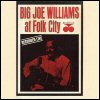 Big Joe Williams - Big Joe Williams at Folk City
